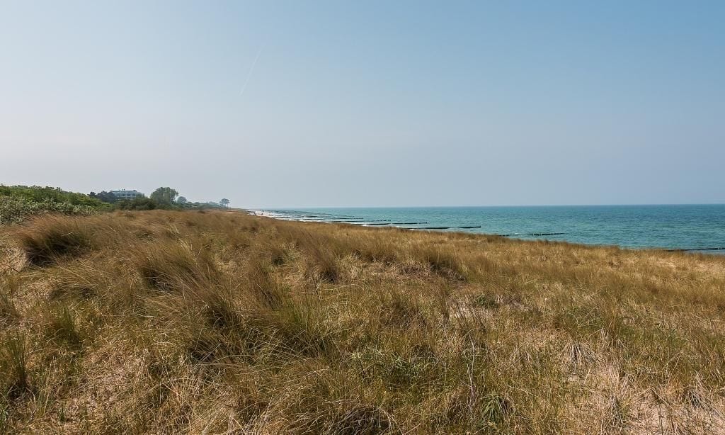 Strandblick mit grünem Gras im Vordergrund