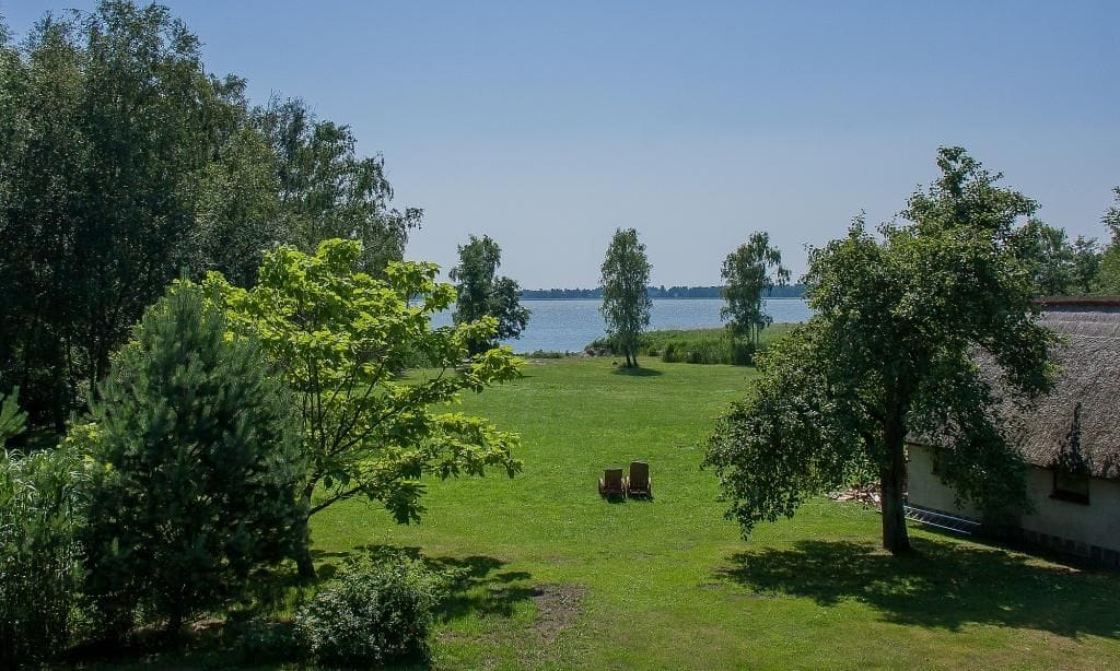 Vogelperspektive der Landschaft mit Wasser und Bäumen
