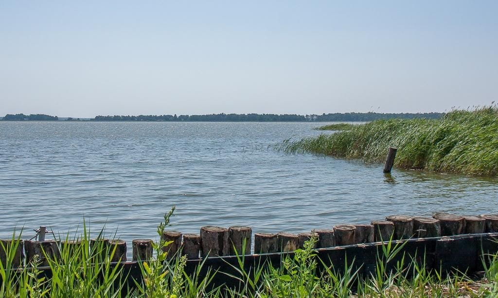 Panorama des Strandes mit Wasser und Schilf