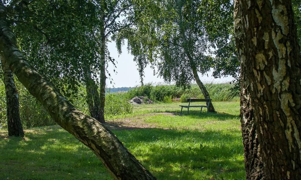 Bank in einer grünen Wiese