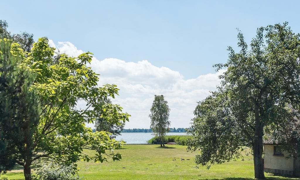 Strandblick auf See mit Bäumen