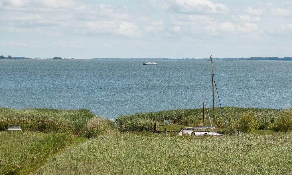 Blick auf das Wasser mit Boot und Ufervegetation