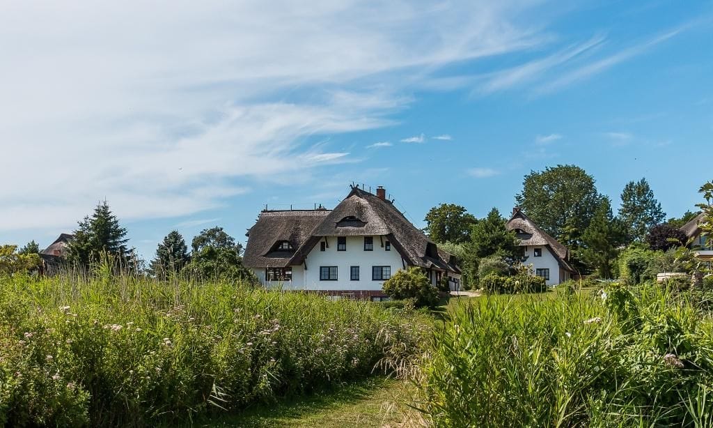 Außenansicht eines Reetdachhauses mit Garten