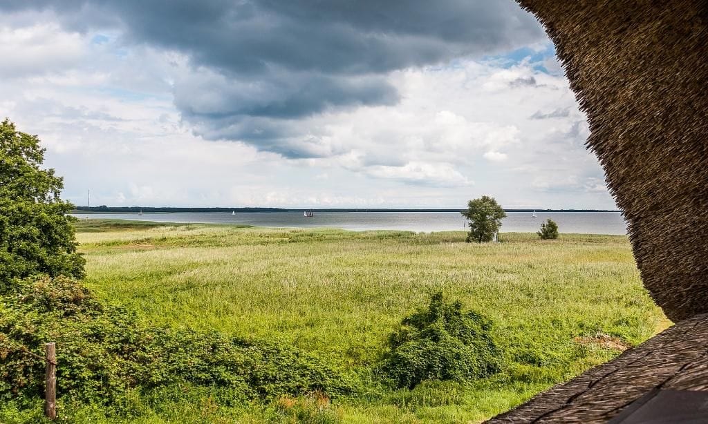 Aussicht auf Wasser und Wiese bei bewölktem Himmel
