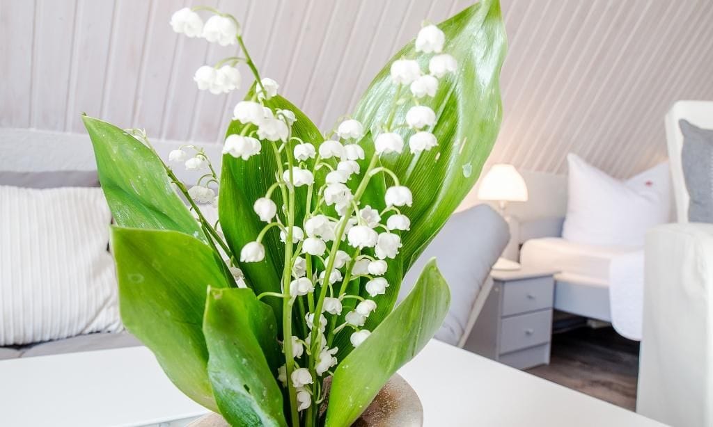Wohnzimmer mit blühendem Pflanzenarrangement