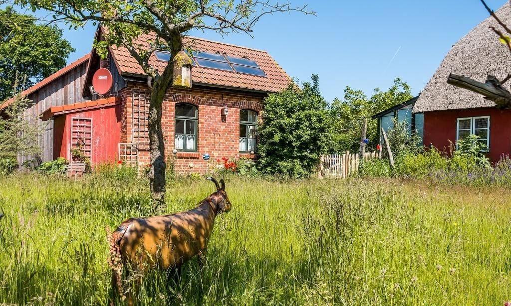 Außenansicht eines roten Fachwerkhauses mit Garten