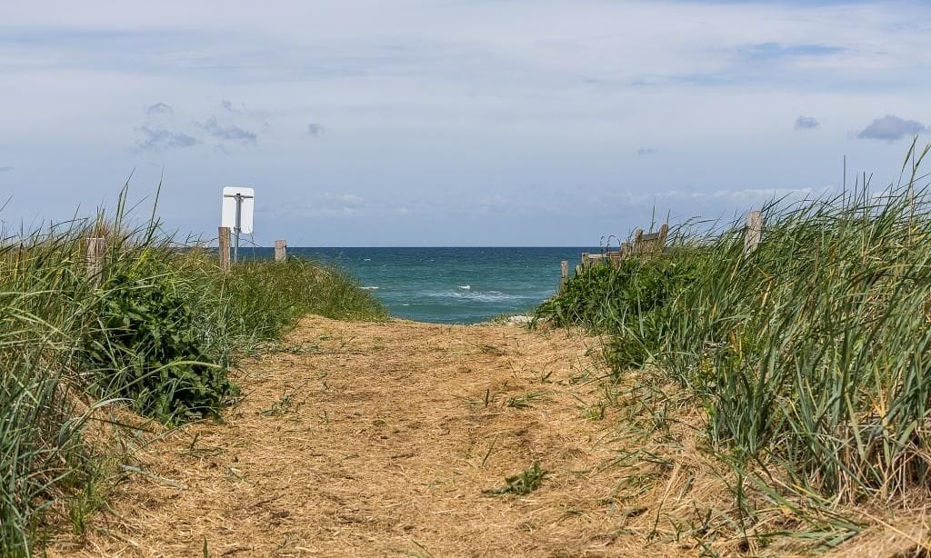 Zugang zum Strand mit grünem Weg