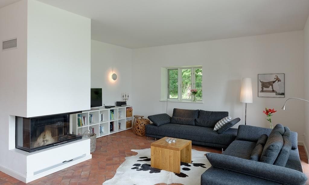 Wohnzimmer mit Kamin und modernen Sofas