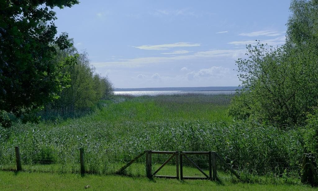Landschaft mit Gewässer und Vegetation