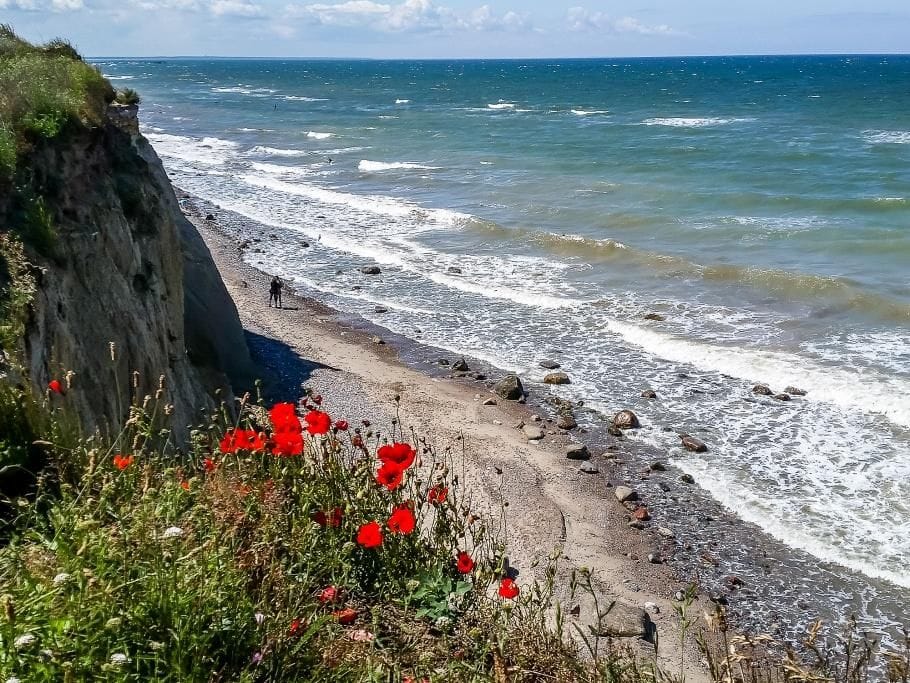 Schöner Strand mit Wellen und roten Blumen