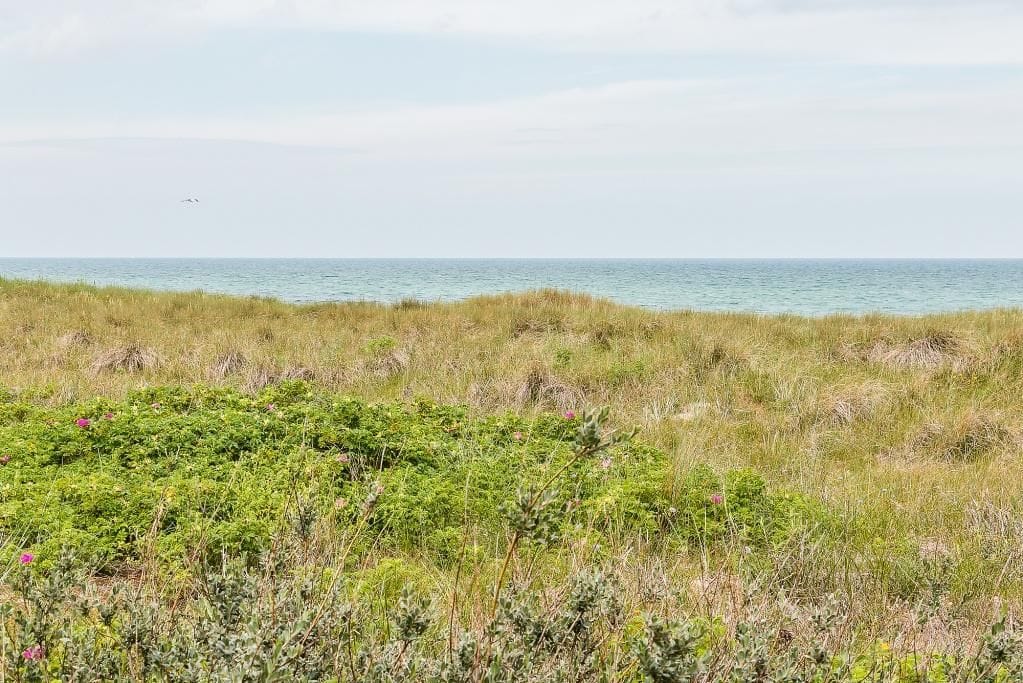 Aussicht auf den Strand mit Gras und Meer