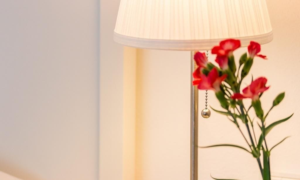 Schlafzimmer mit Nachttischlampe und Pflanze