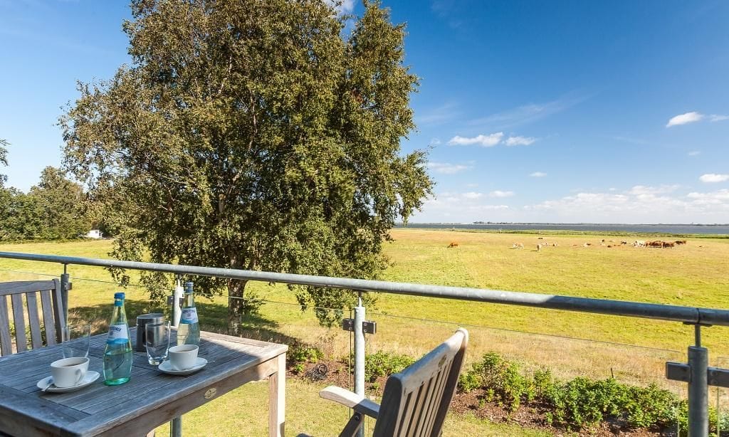 Balkon mit Tisch und Stühlen, Blick auf die Wiese.
