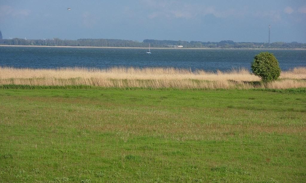 Blick auf den Strand mit Gras und Wasser