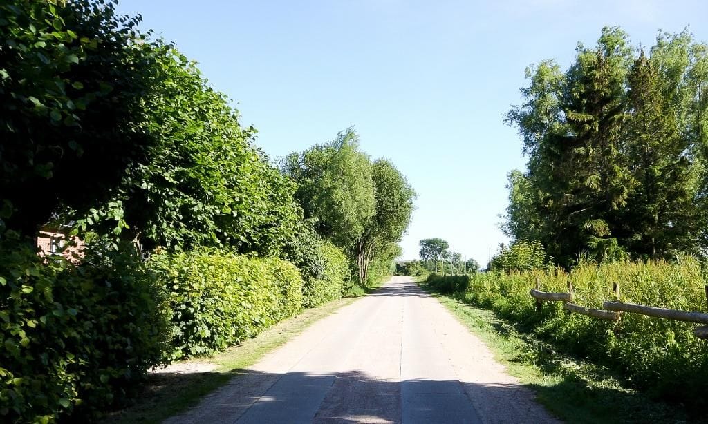 Landschaftliche Landstraße umgeben von Bäumen