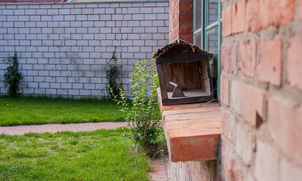 Gartenansicht mit Futterhäuschen