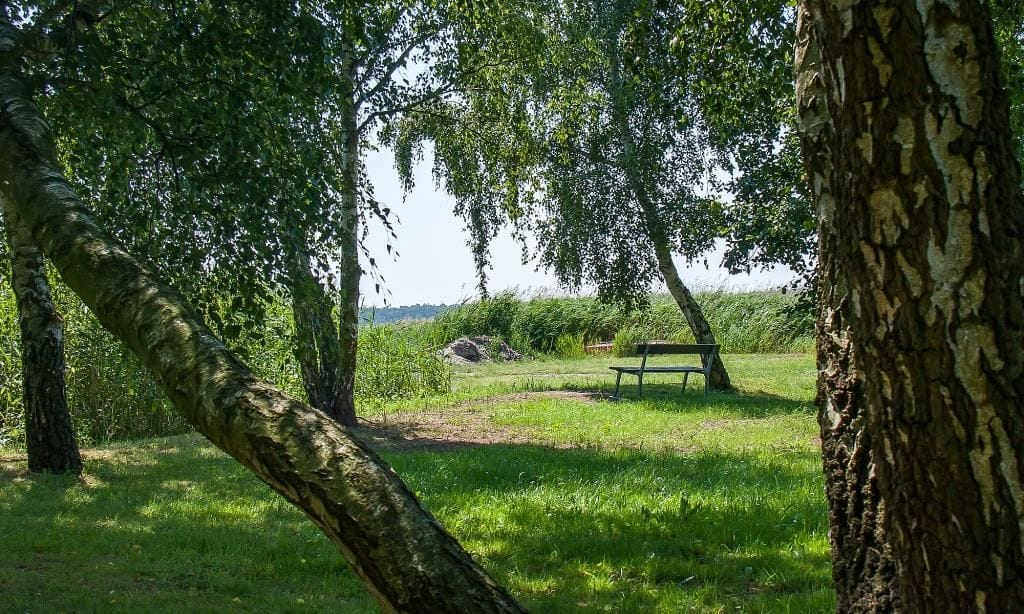 Ein idyllischer Park mit Bank unter den Bäumen
