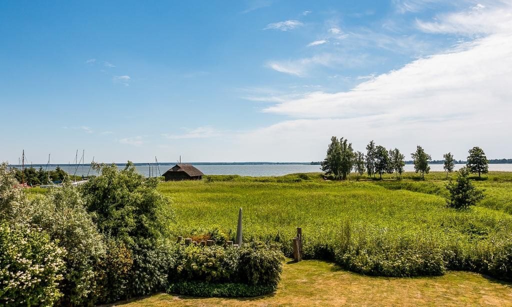 Blick auf das Wasser und grüne Landschaft