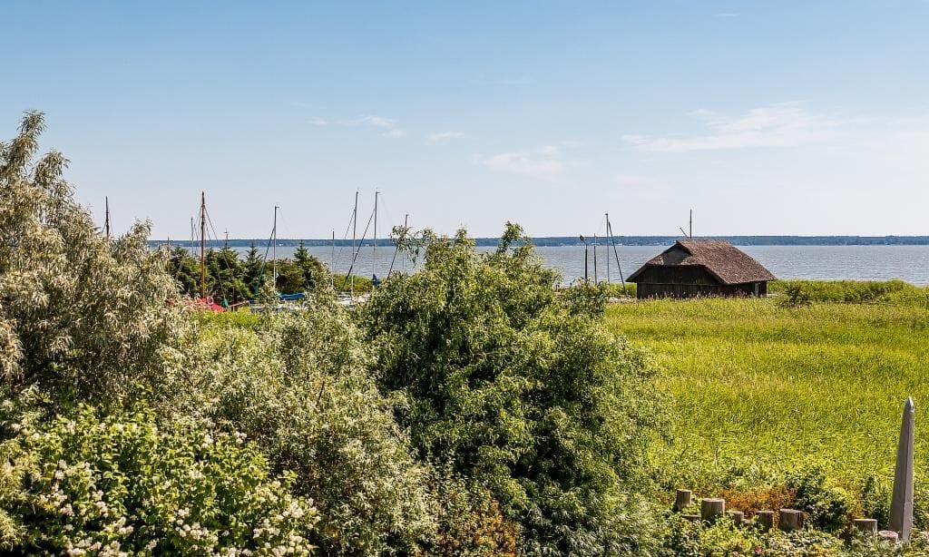 Strandblick mit Wasser und grünem Ufer