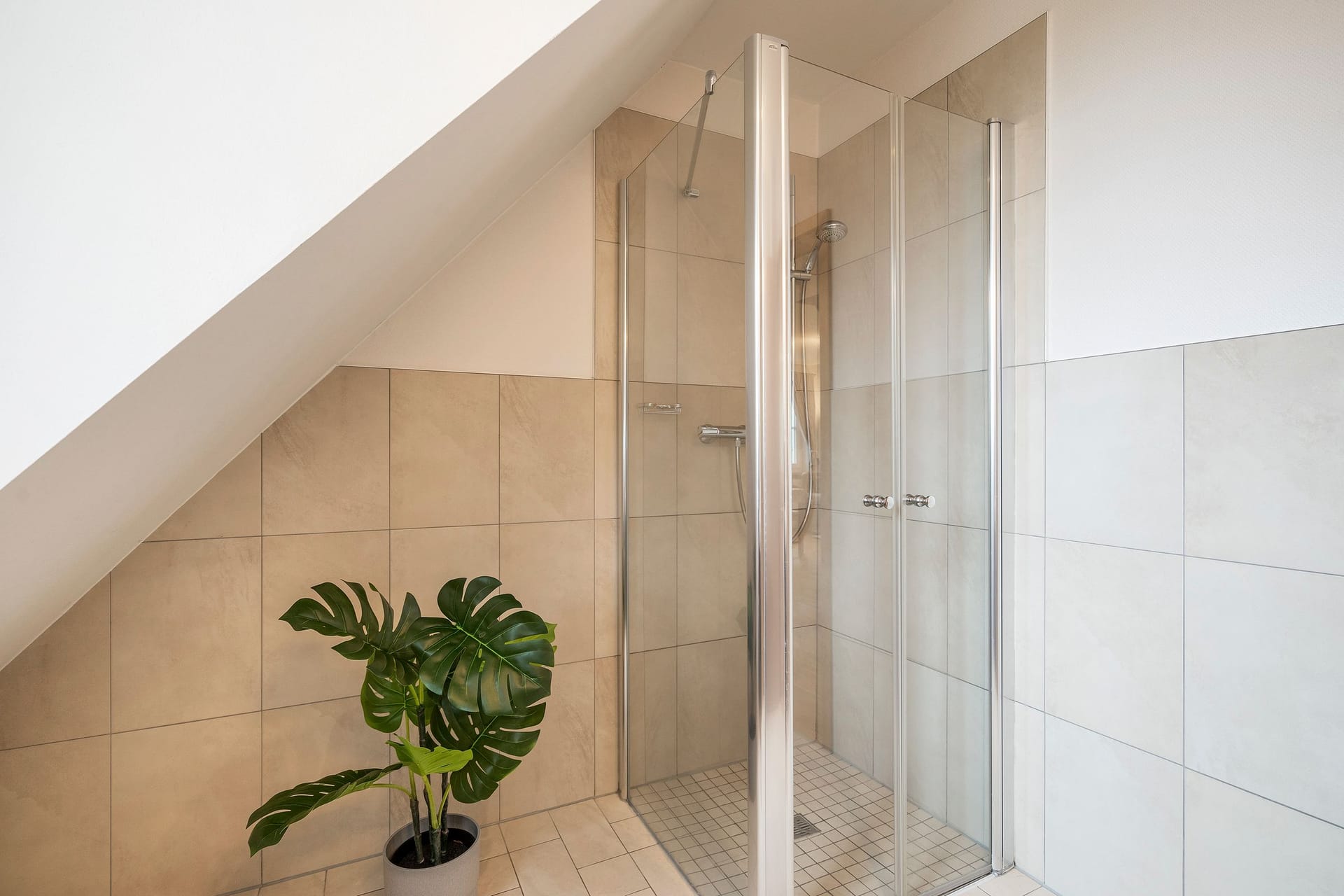 Duschbereich in modernem Badezimmer mit Pflanze.
