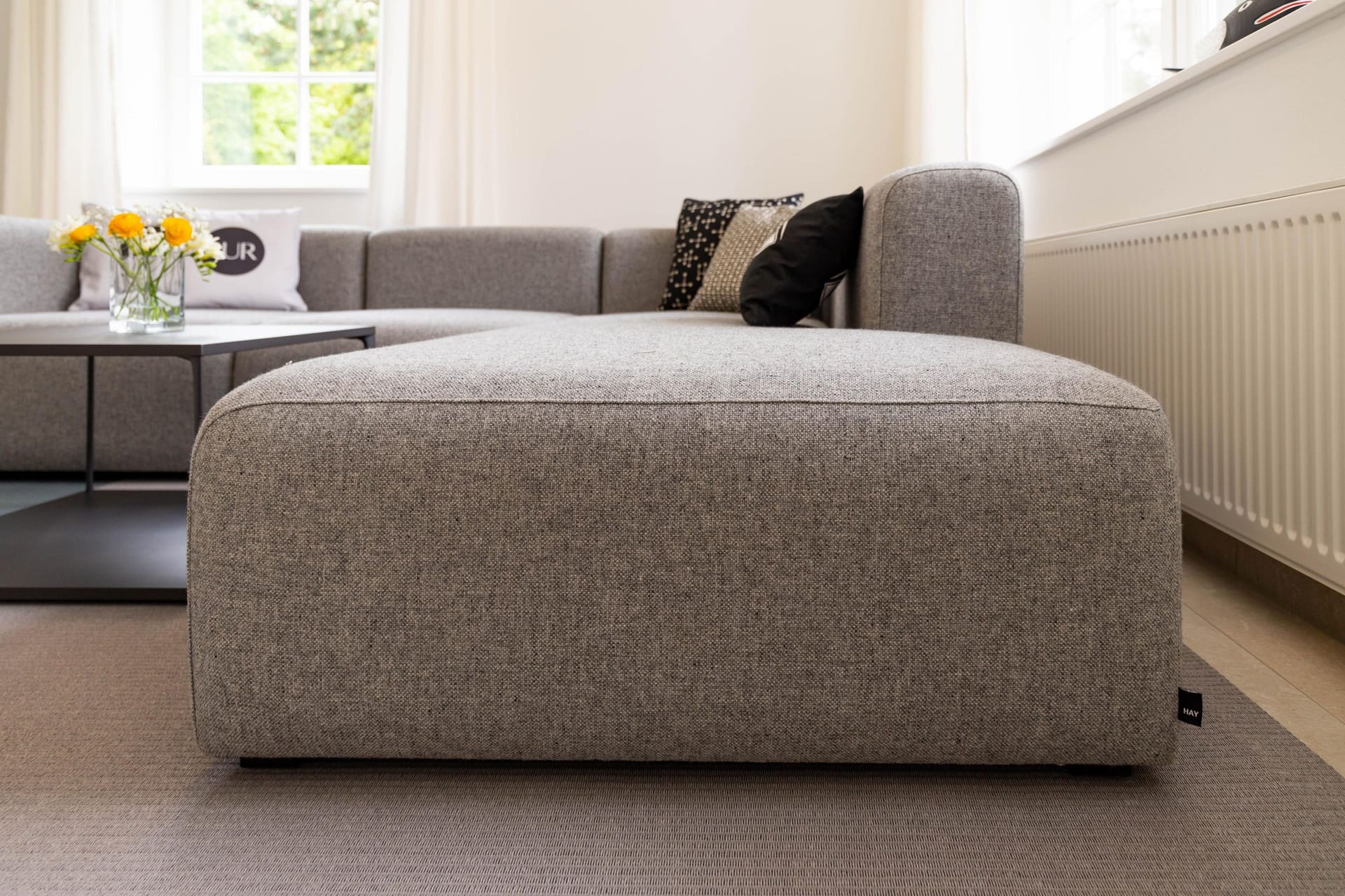 Wohnzimmer mit modernem grauem Sofa und Tisch