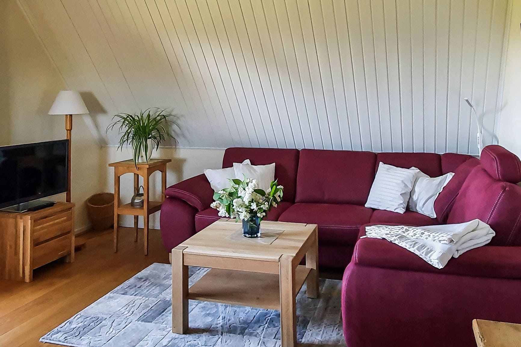 Einladendes Wohnzimmer mit rotem Sofa und Fernseher
