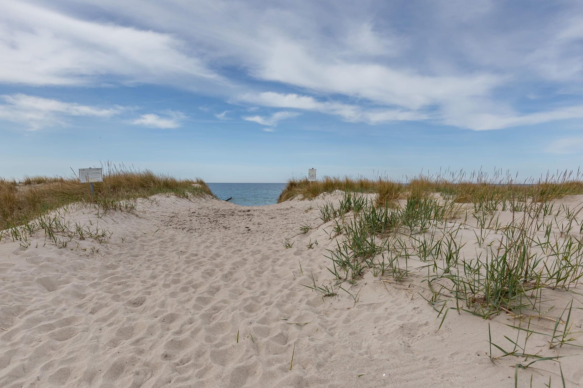 Blick auf den Strand mit Sandweg und Gras