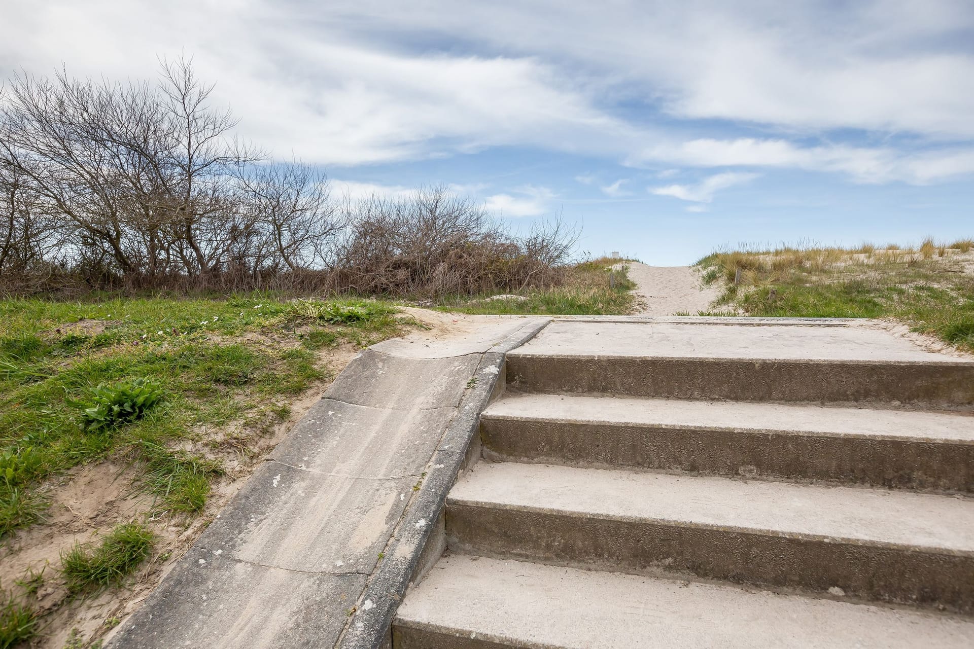 Betontreppe im Grünen