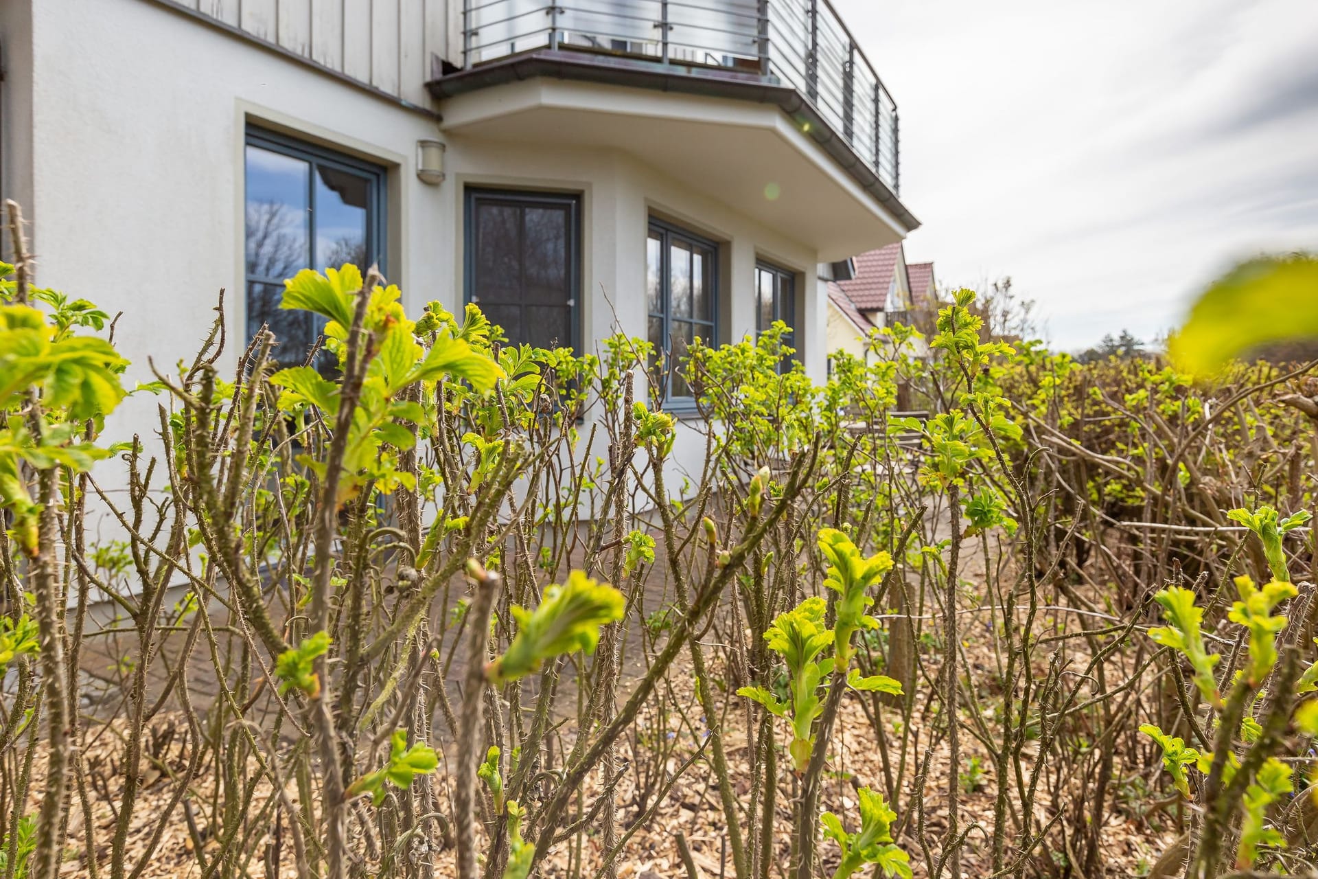 Terrasse mit Blick auf die Frühlingslandschaft