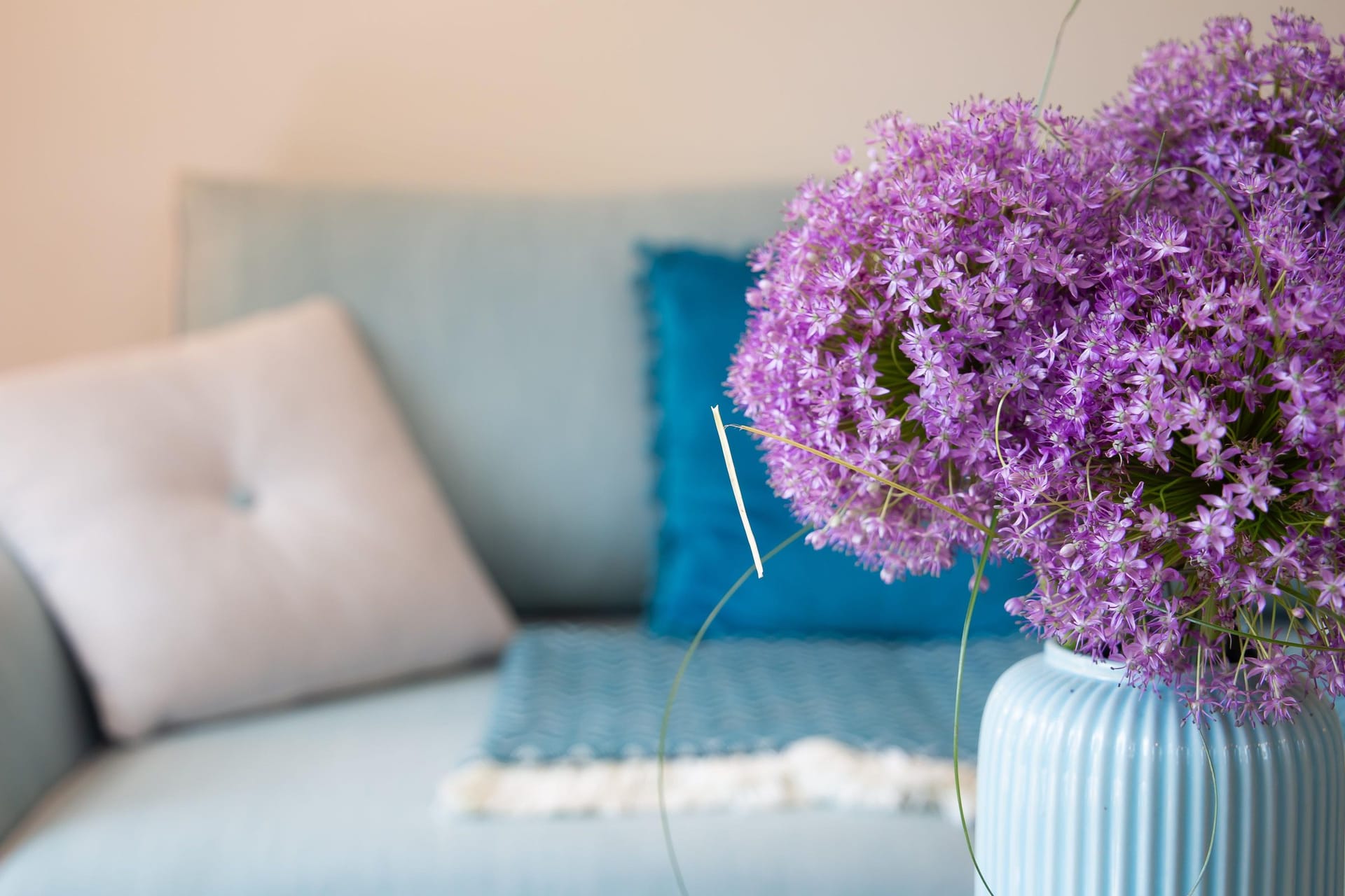 Gemütliches Wohnzimmer mit blühenden Pflanzen