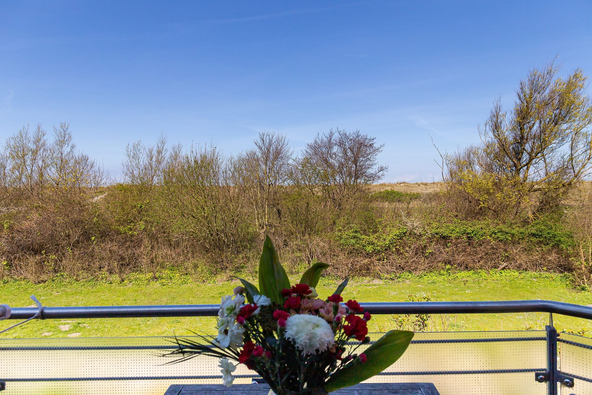 Balkon mit Blick auf die grüne Landschaft