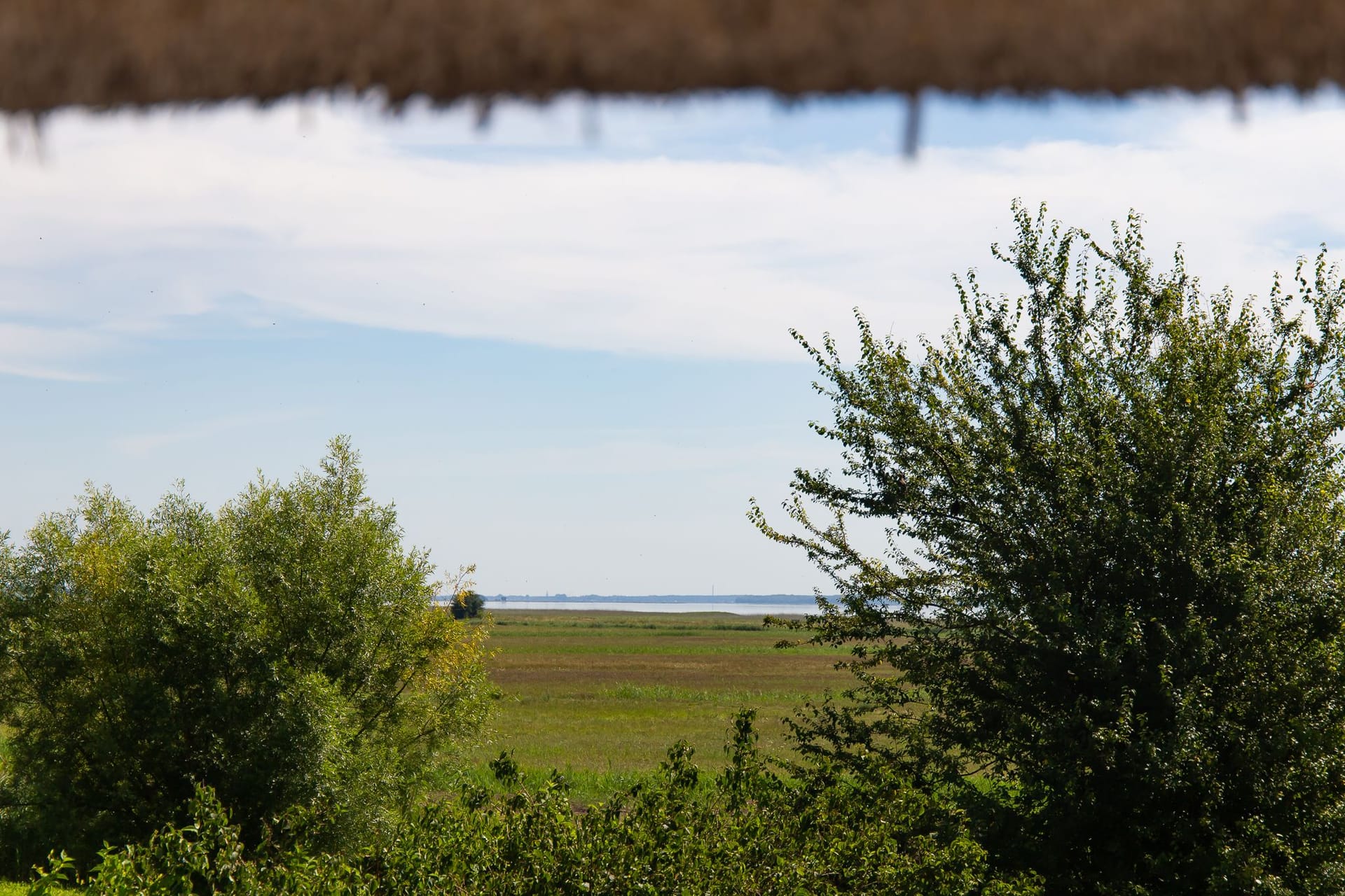 Blick auf die Landschaft mit Bäumen und Wasser