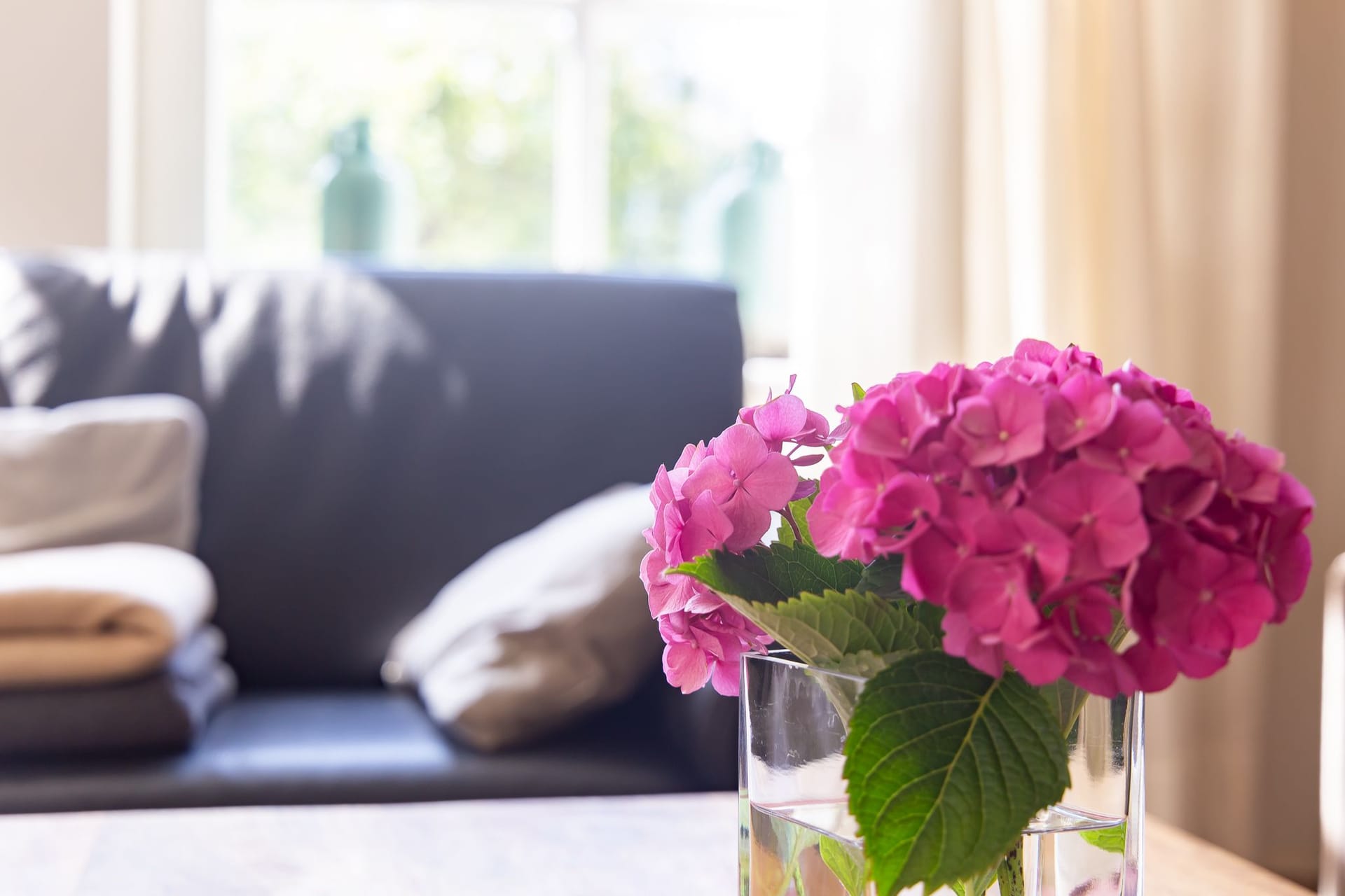 Einladendes Wohnzimmer mit Sofa und Blumen