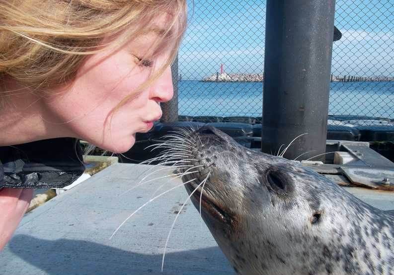 Eine junge Frau mit gespitzten Lippen und ein Seehund mit sichtbaren Barthaaren, im Hintergrund blaues Meer, Zaun und Hafendamm.