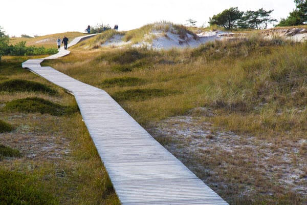 Ein hölzerner Bohlenweg führt durch eine Dünenlandschaft mit Gras und Büschen.