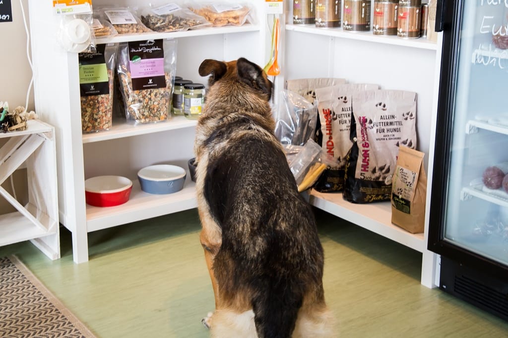 Ein Deutscher Schäferhund sitzt in einem Hundegeschäft vor Regalen mit Hundefutter und blickt auf die Ware.