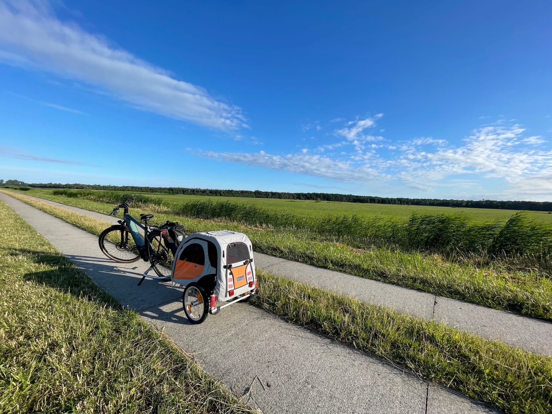 Fahrrad mit Hundehänger auf dem Weg, grünes Feld und blauer Himmel im Hintergrund.