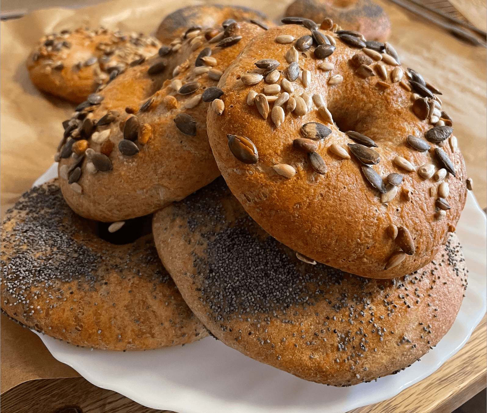 Frisch gebackene Bagels mit verschiedenen Saaten auf einem weißen Teller.