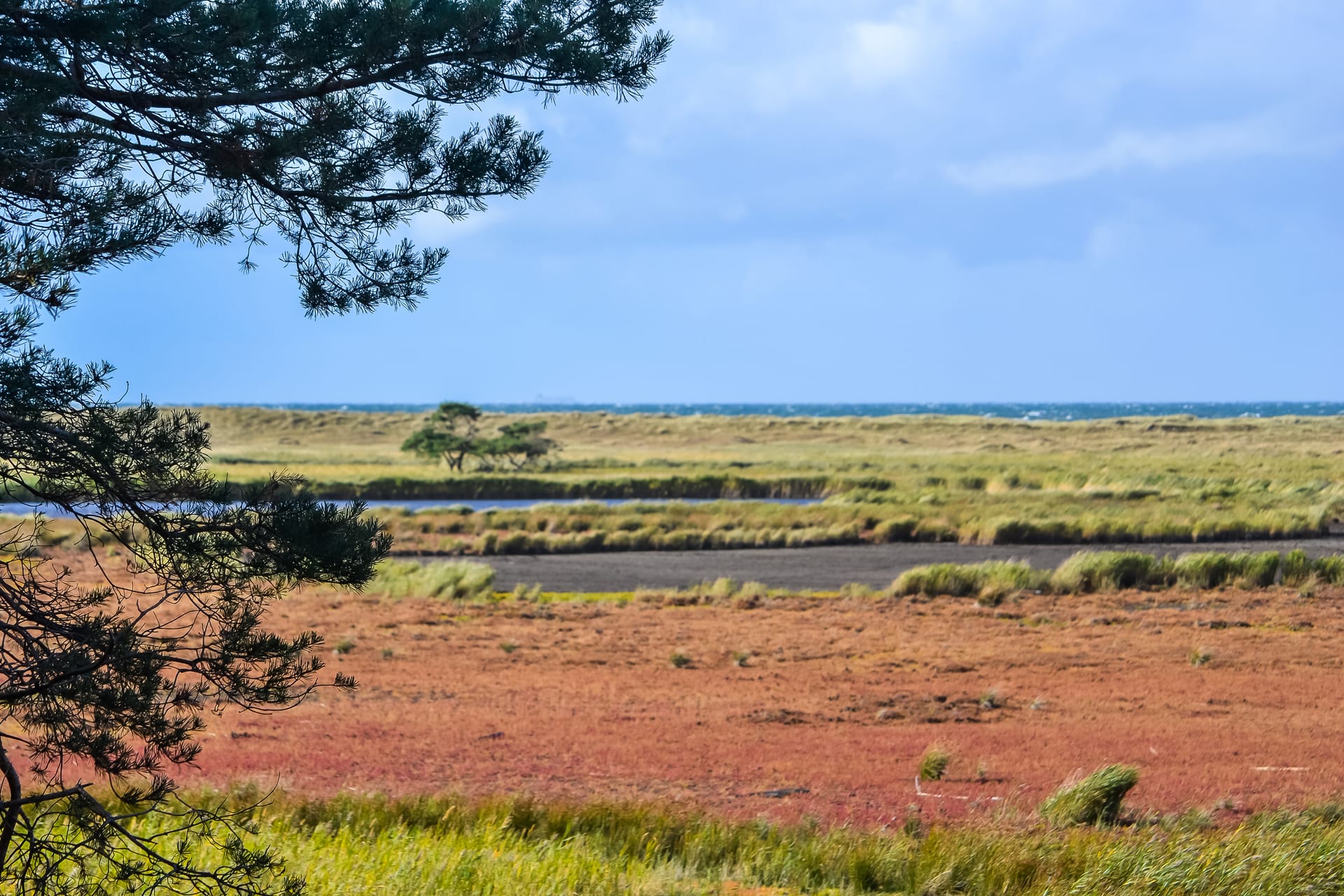 Landschaft mit Feldern, einem Baum im Vordergrund und einem blauen Himmel im Hintergrund. In der Mitte erstrecken sich landwirtschaftliche Flächen bis zum Horizont.