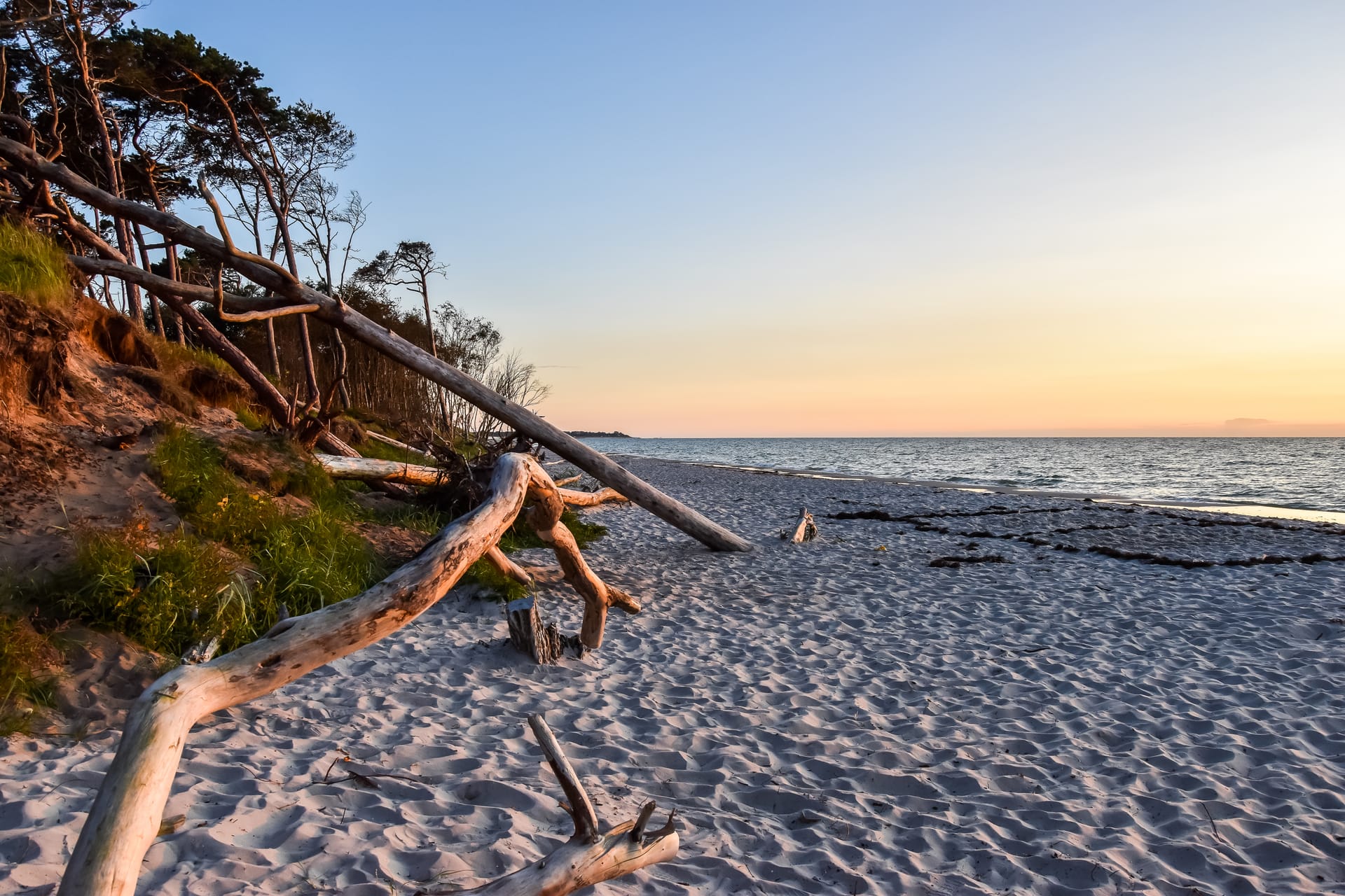 Strand, links ein Wäldchen mit Bäumen.