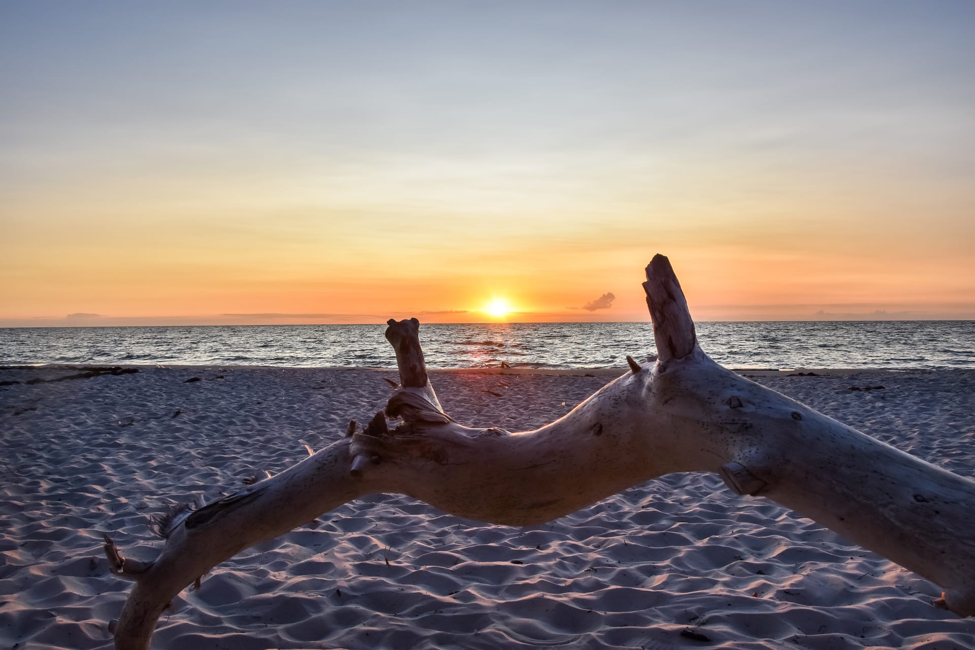 Sonnenuntergang am Strand, im Vordergrund ein umgestürzter Baum.