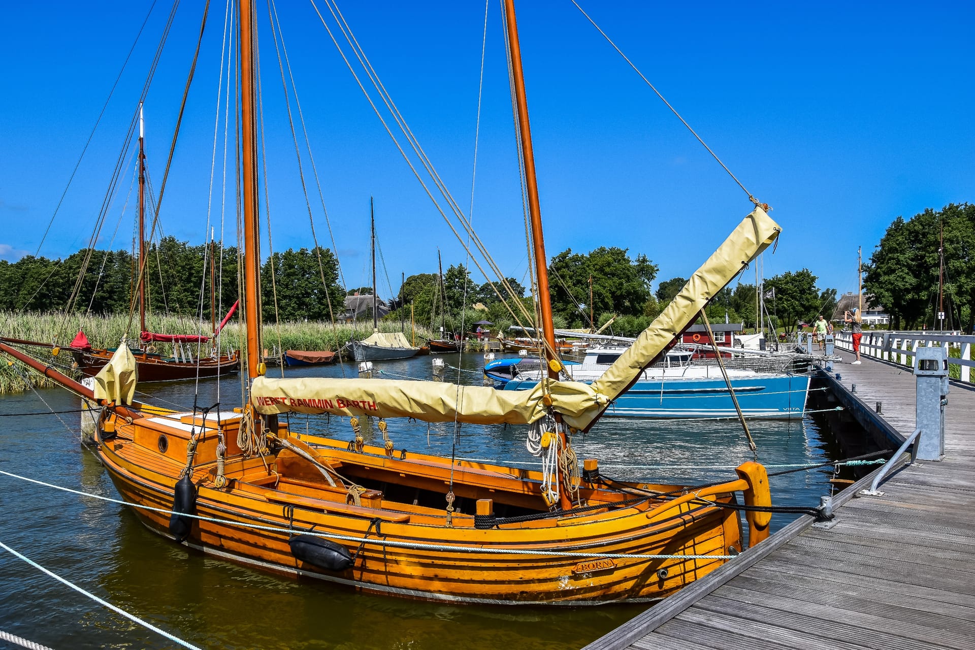 Boote im Hafen bei sonnigem Wetter. Bäume im Hintergrund.