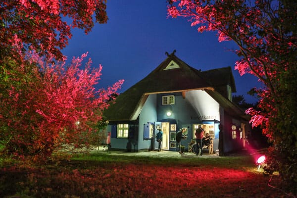 Ein blaues Galeriengebäude, abends mit bunten Lichtern beleuchtet, mit ein paar Personen davor.