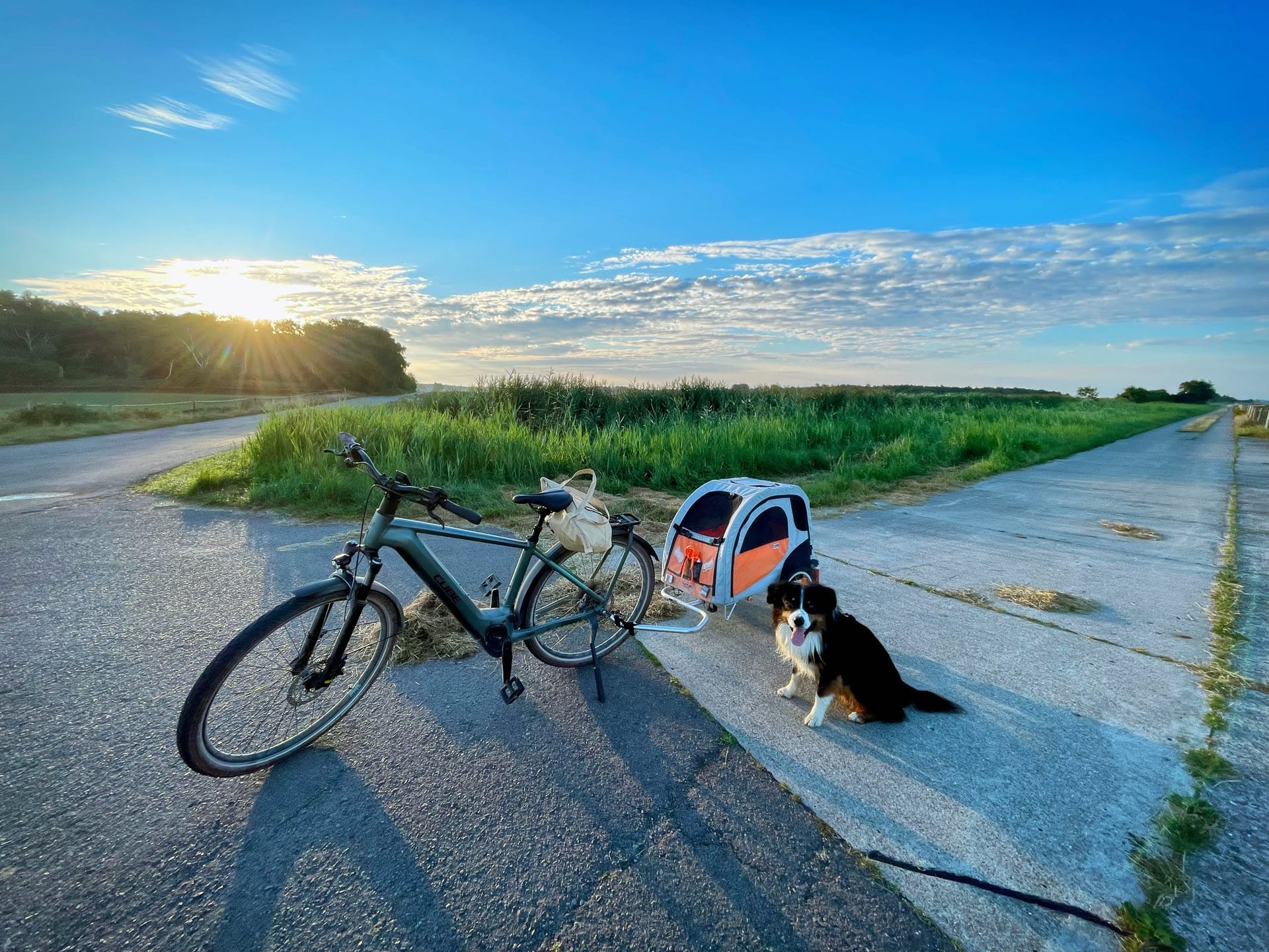 Fahrrad mit Hundeanhänger, Hund daneben, grüne Umgebung bei Sonnenschein.