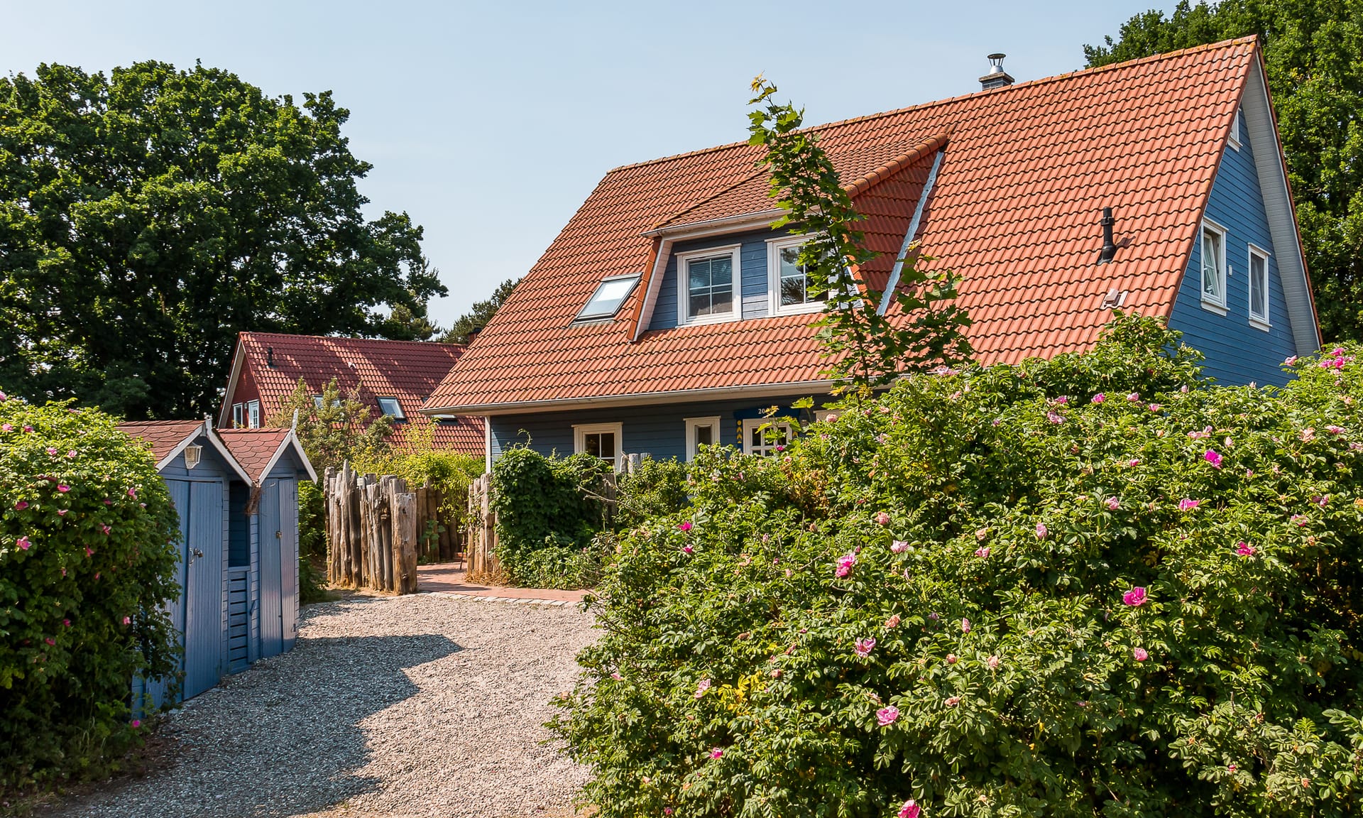 Blaues Holzhaus mit rotem Ziegeldach, einer großen Dachgaube und blühenden Rosenbüschen im Vordergrund.