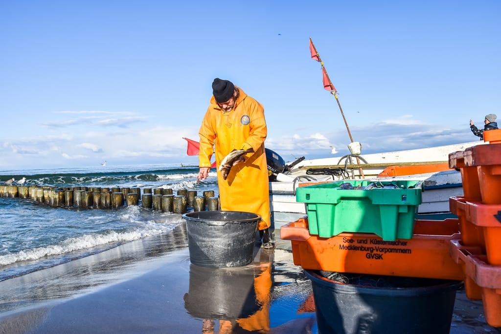Ein Fischer in orangefarbener Regenkleidung mit einem Fisch am Strand neben Fischkisten und einem Boot.