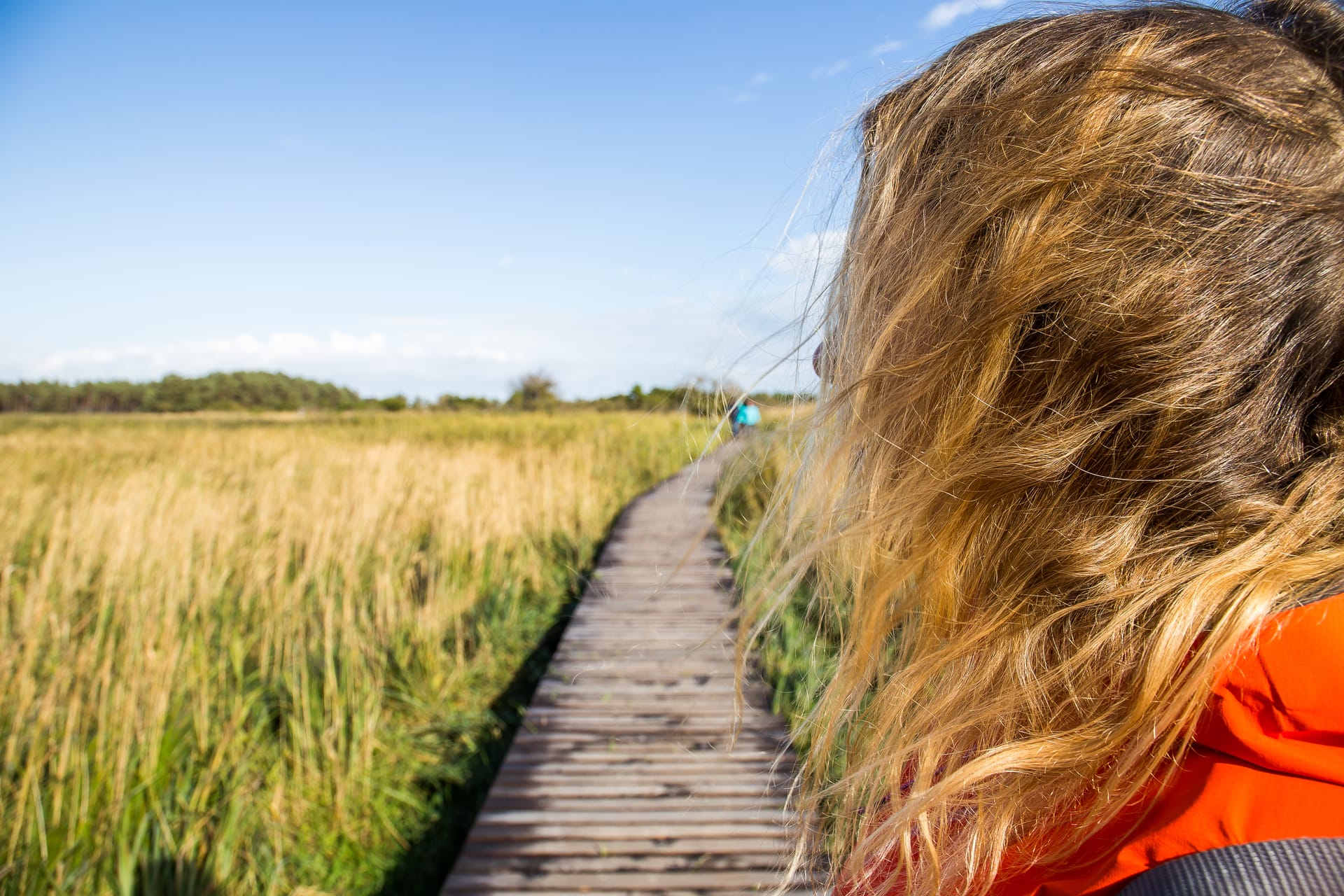 Person auf Holzsteg, Blick auf Landschaft mit Büschen und Gras.