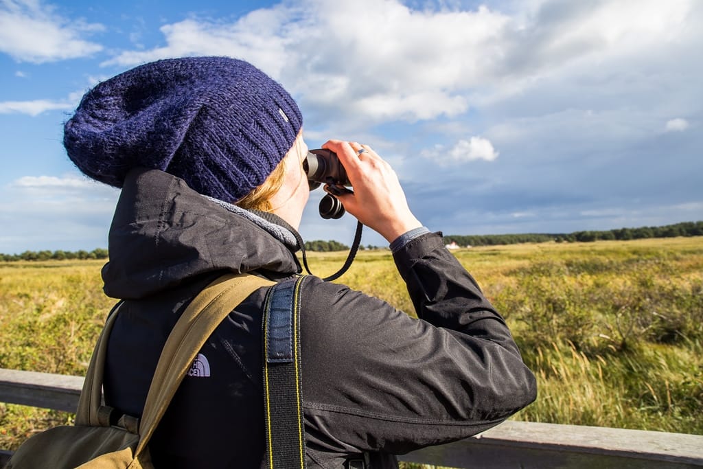 Eine Person benutzt ein Fernglas. Sie blickt über eine Landschaft mit gelbem Gras und blauem Himmel.