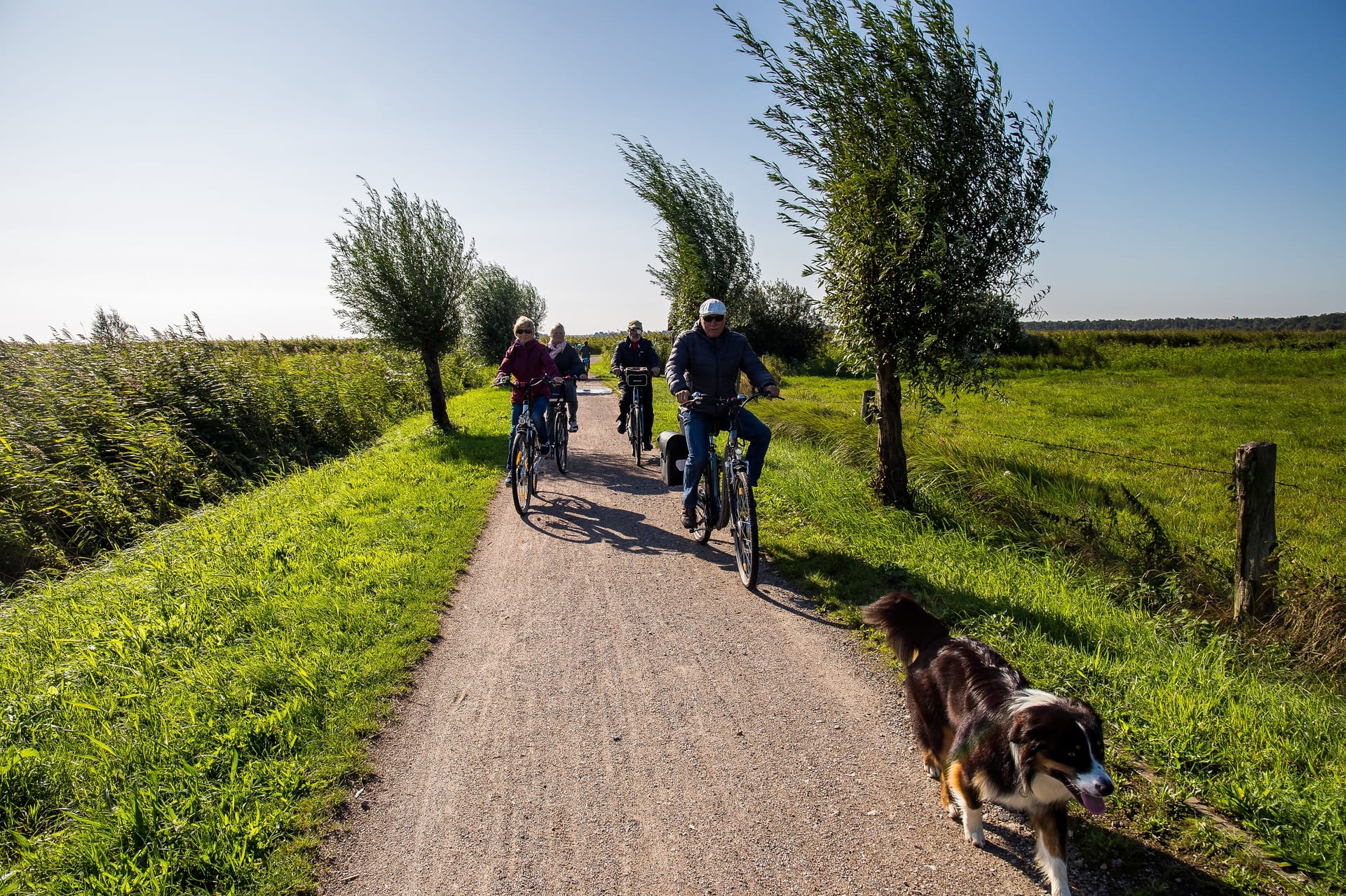 Radfahrer und ein Hund auf einem unbefestigten Weg durch eine grüne Wiesenlandschaft mit Bäumen.