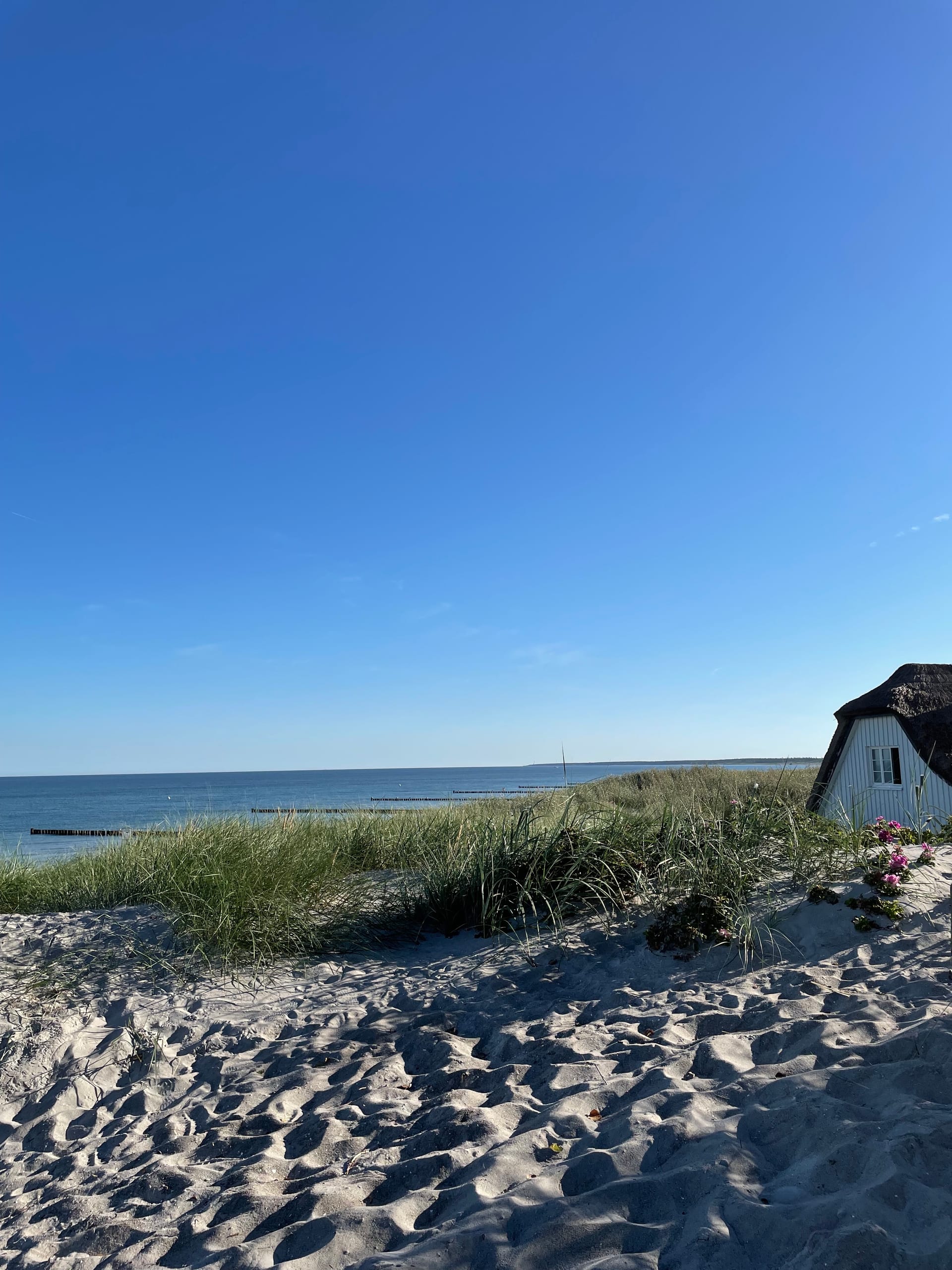 Blick auf eine Düne, ein Reetdachhaus und im Hintergrund das Meer.